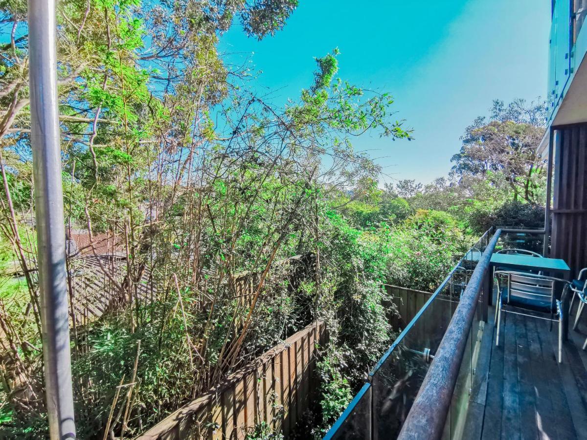 Glebe House Homestay Sydney Ngoại thất bức ảnh
