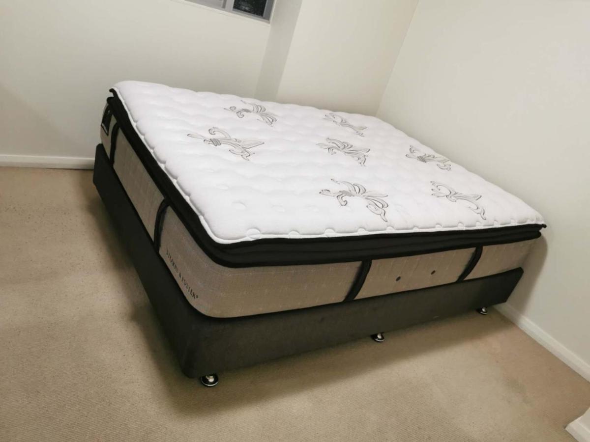 Glebe House Homestay Sydney Ngoại thất bức ảnh